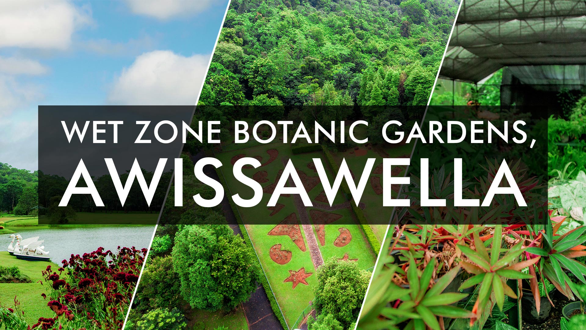seethawaka botanical garden essay in english grade 8