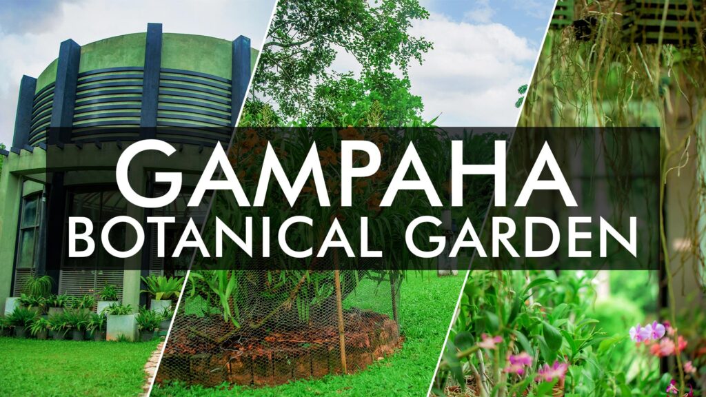 Henarathgoda Botanic Gardens – Department of National Botanic Gardens